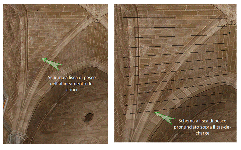Figure 19. Fish-bone pattern in the web coursing near the spring line, above the tas-de-charge.