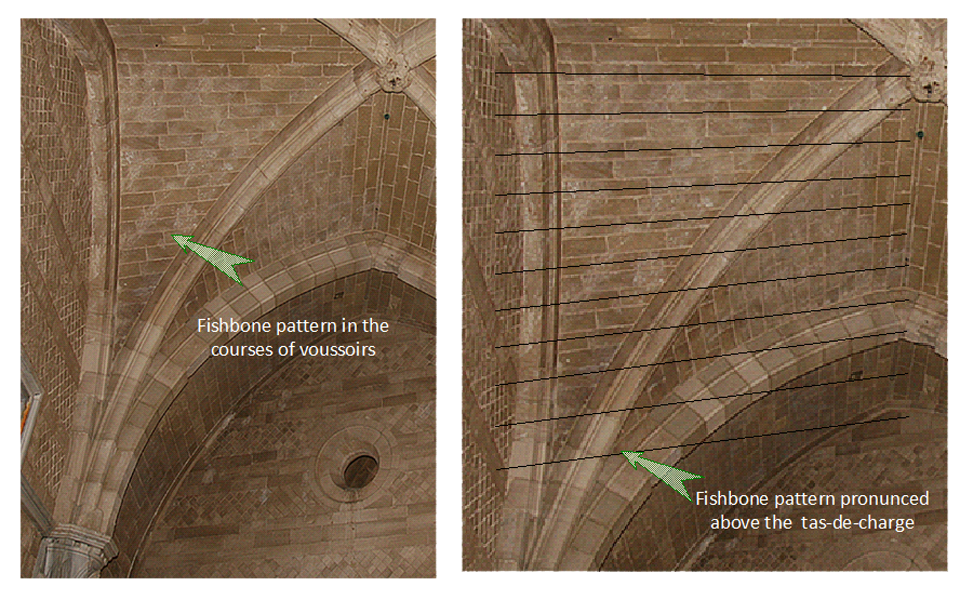 Figure 19. Fish-bone pattern in the web coursing near the spring line, above the tas-de-charge.