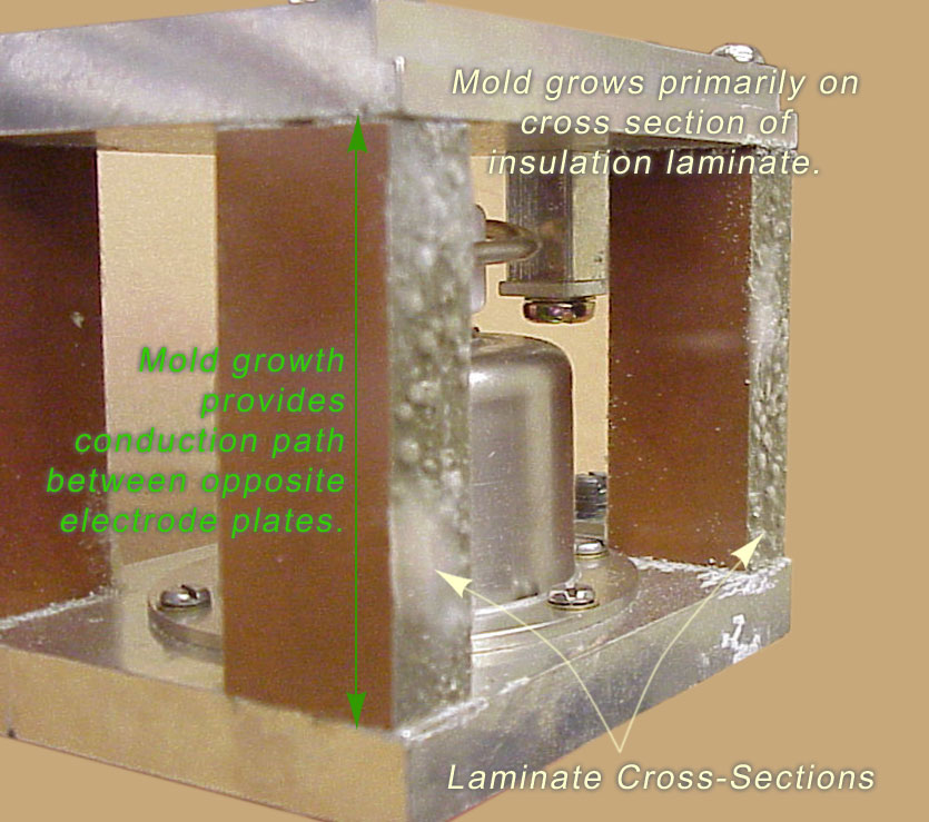 Neutral isolator drippingr