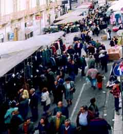 fiera9808.jpg