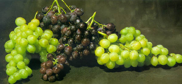 Grapes