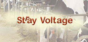Stray Voltage Web Site is your Web site for in formation on stray voltage: science, facts, explanations, figures, animations...