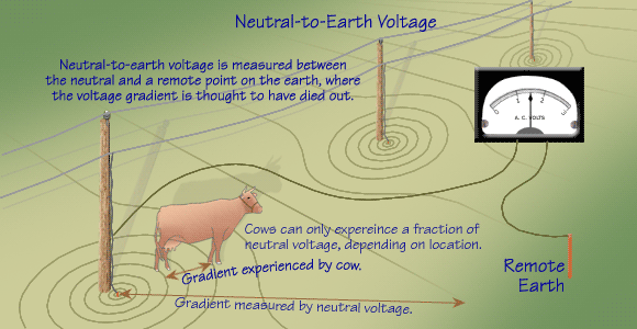 Neutral-to-earth voltage is a noteworthy parameter.