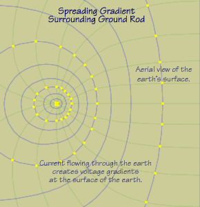 Radial nature of spreading gradients.